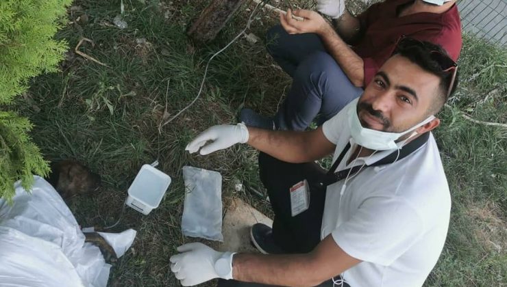 Şanlıurfa’da yaralı yavruya ilk müdahaleyi sağlık çalışanları yaptı