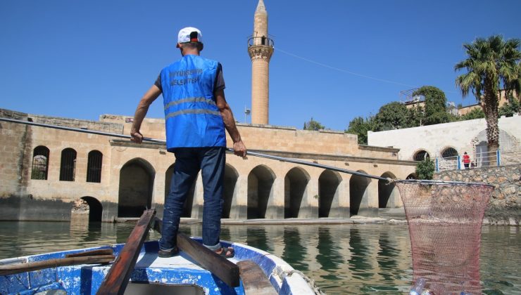 Şanlıurfa’nın saklı cenneti Halfeti’de kapsamlı temizlik