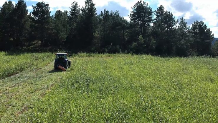 Şeker sorgumu çiftçisinin yüzünü güldürdü