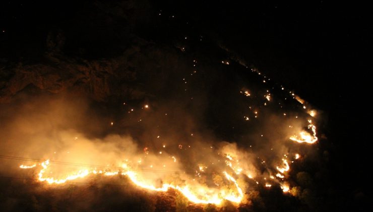 Şemdinli’de orman yangını