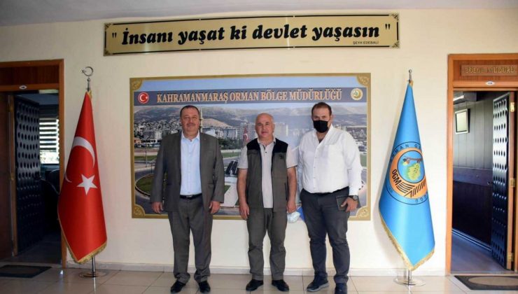 Seve Barajının çevresi ağaçlandırılacak