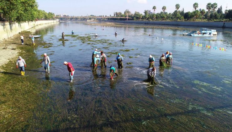 Seyhan Nehri’ni istila eden yosunlar temizleniyor