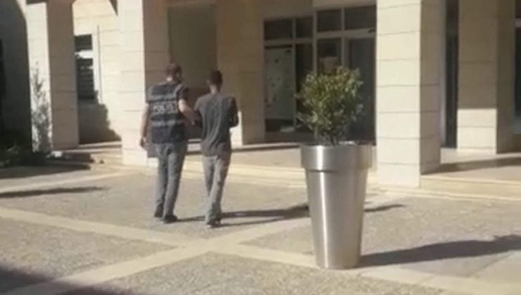 Siirt’te hırsızlık suçundan yakalanan şahıs tutuklandı