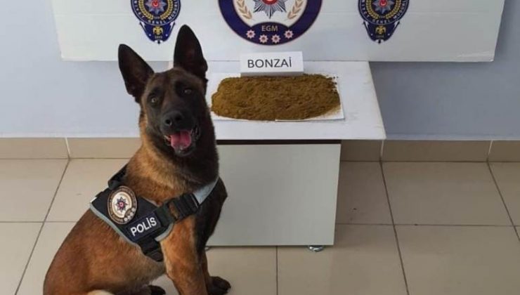 Simav’da uyuşturucu operasyonu