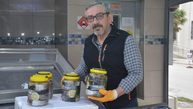 Sinop’ta lakerda dönemi