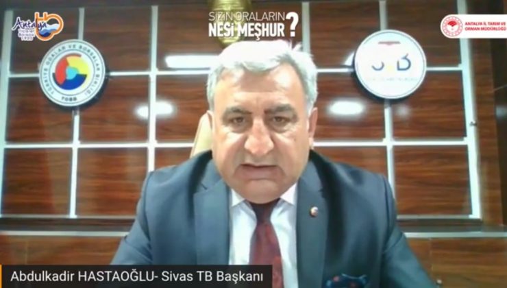 Sivas kangal köpeği coğrafi işaret tescili yolunda