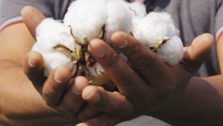 Söke TARİŞ’ten anlamlı video; “72 yıldır üreticinin sigortasıyız”