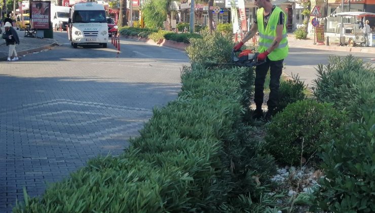 Sonbahar bakımı başladı