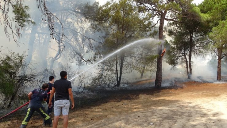 Sorgun Çamlığında çıkan yangında 1 dönüm ormanlık alan kül oldu