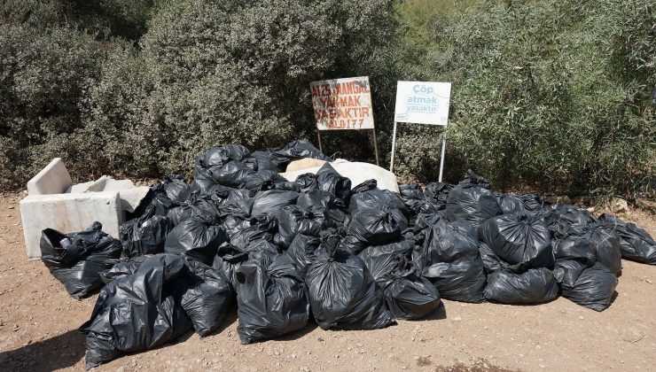 Sosyetenin gözde koyunda çıkan çöpler şaşırttı