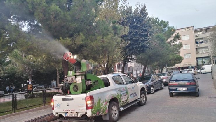 Sultangazi Belediyesi dantel böceğine karşı teyakkuzda