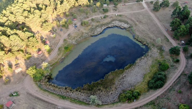 Sülük hırsızları köylüyü canından bezdirdi
