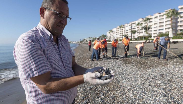 Suriye kaynaklı petrol atıkları bu kez Erdemli’de görüldü