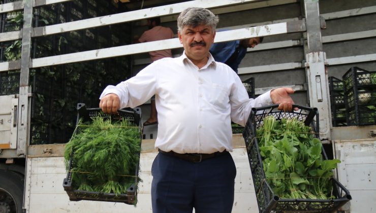 Tarladan ucuza alınan sebzede fahiş fiyatlar tüketiciyi mağdur ediyor