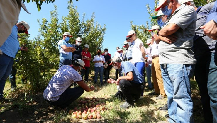 TARSİM, Isparta ve Antalya’da toplantılar gerçekleştirdi