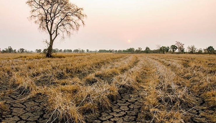 TARSİM’den üreticilere 214 milyon TL kuraklık ödemesi