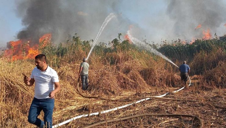 Tatvan’da sazlık alanda yangın