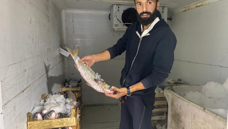 Tekneleriyle denize açılan balıkçılar 60 kasa barbun ve kefal tuttu