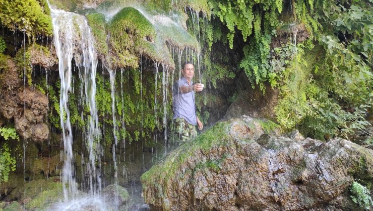 Teröristlerin yuvası olan Zore Deresi vatandaşların piknik alanı oldu