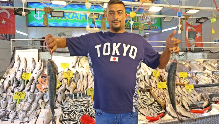 Tezgahlar istavritle doldu, balıkçılar palamut bekliyor