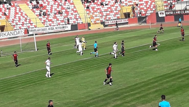 TFF 2. Lig: Vanspor FK: 3 – Diyarbekir Spor A.Ş: 1