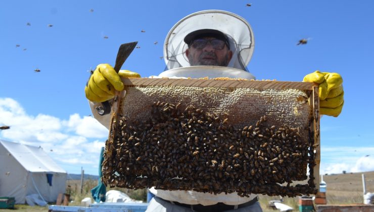 Tokat’ta kuraklık arıcıları vurdu