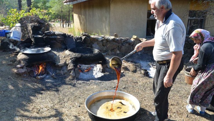 Toroslar’da pekmez kazanları kaynıyor
