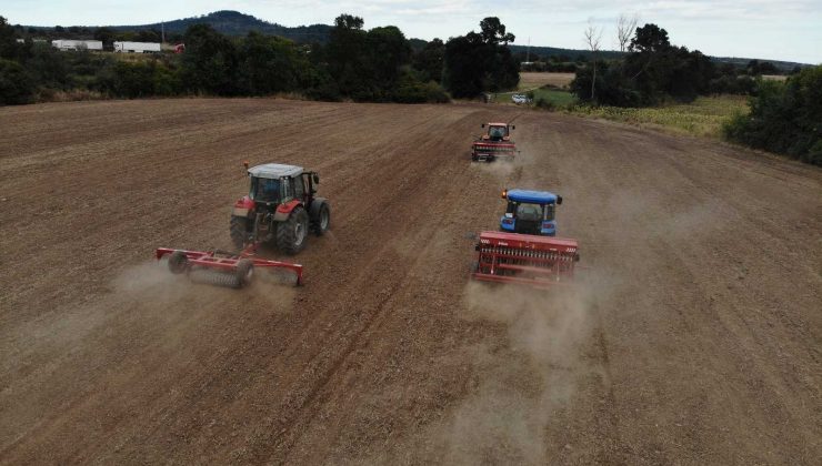 Trakya’nın sarı gelini kanolanın ekimi başladı