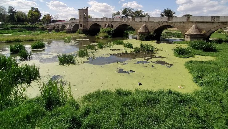 Tunca Nehri çöp ve yosunlarla kaplandı