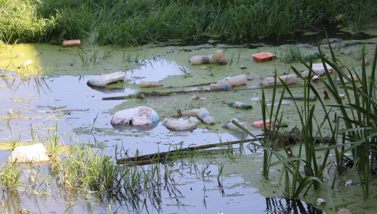 Tunca Nehrinde ödüllü çöp toplama etkinliği