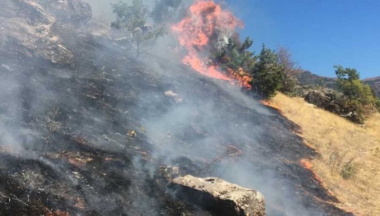 Tunceli’de çıkan yangın kontrol altına alındı