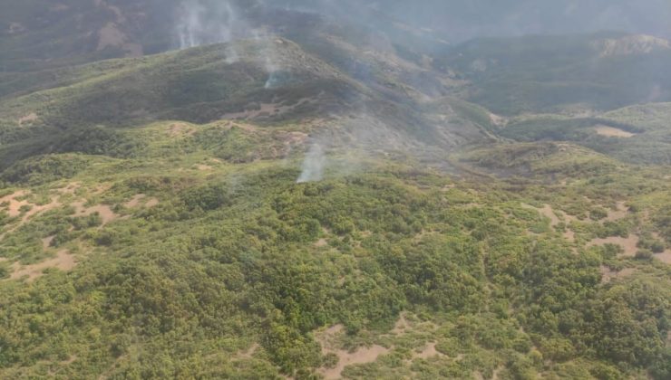 Tunceli’deki örtü yangını kontrol altına alındı