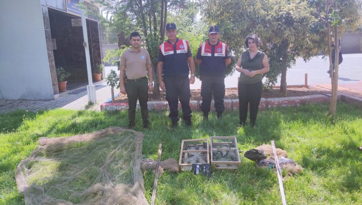 Tuzakla saka kuşu avlayan 2 kişiye 43 bin lira ceza