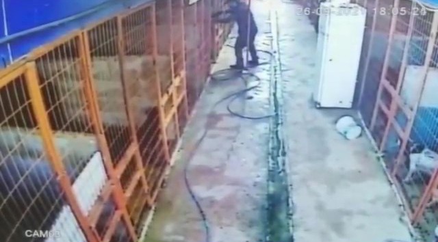 Tuzla’da av tüfeği ile köpeği telef eden şahıs kamerada