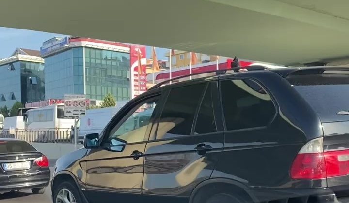 Uçmayı bıraktı, arabanın üzerinde seyahat etti