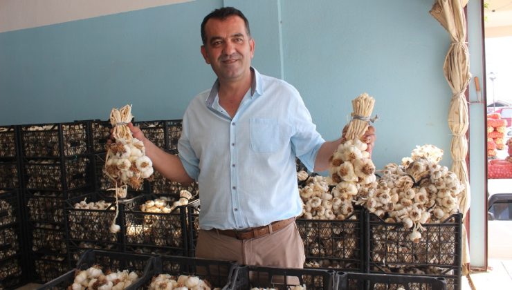 Üretilen tarım ürünlerinin yüzde 70’i hal dışında satılıyor