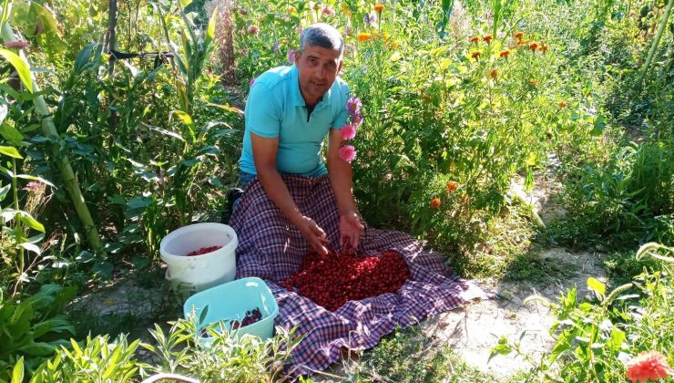 Üretim düştü, fiyatlar ikiye katlandı