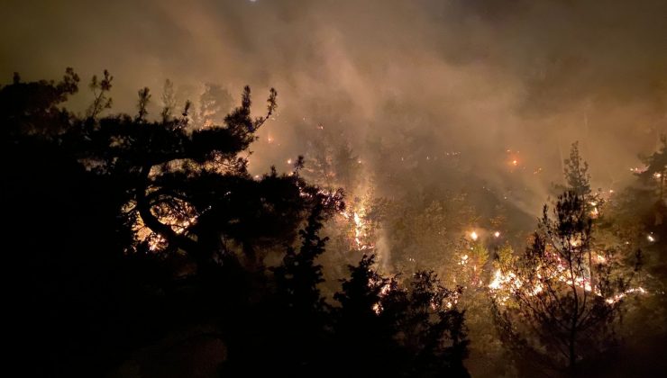 Uşak’ta çıkan yangında 2.5 hektar alan kül oldu