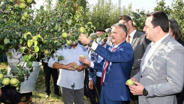 Vali Yazıcı, Karyağdı Armudunun hasadını gerçekleştirdi