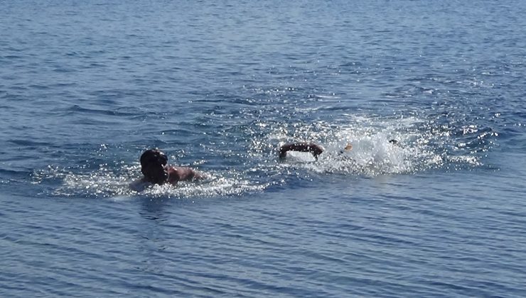 Van Gölü için 2 kilometre yüzdüler