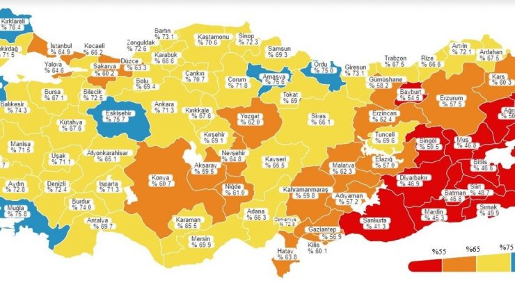 Van, ikinci doz aşıda kırmızı iller arasında