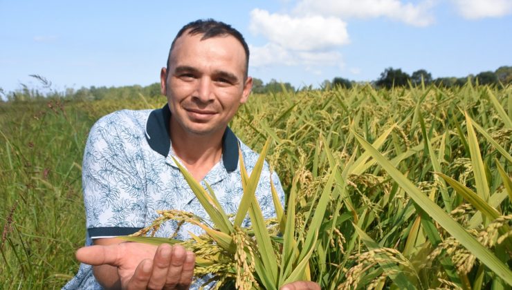 Yağış kimine felaket kimine bereket oldu