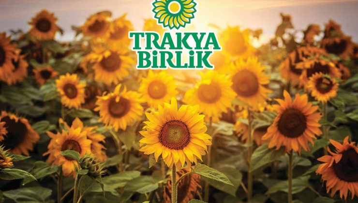 Yağlık ayçiçeğine avans ödemesi