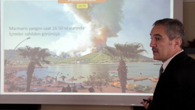 Yanan alanlar kısa sürede yeşillendirilecek