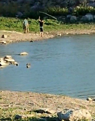 Yasağı dinlemediler, Sazlıbosna Barajı’nda ağ ile balık tuttular