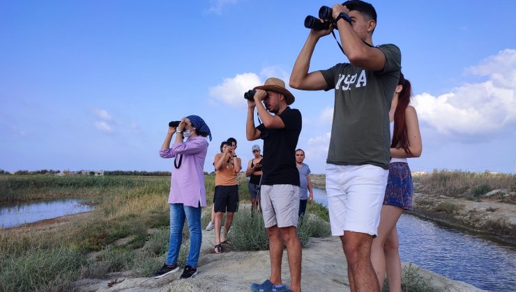 Yeşil arı kuşu 31 yıl sonra Mileyha’da görüldü