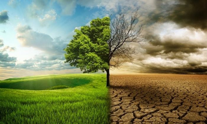 Yeşil Mutabakat fırsata çevrilmeli