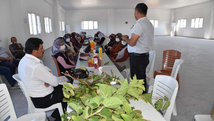 Yunusemre Belediyesinden üreticilere aşılama eğitimi