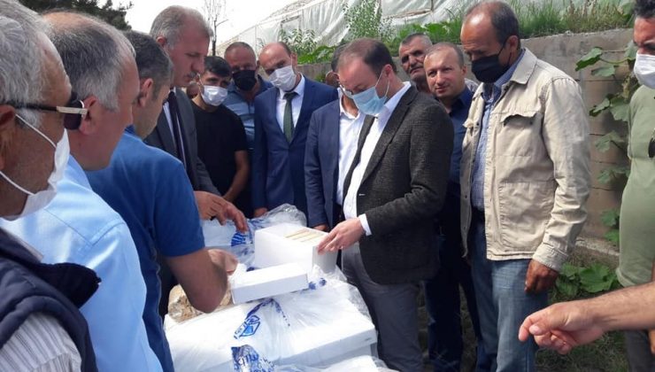 Zara’da arıcılara destek