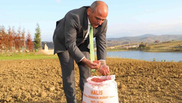 300 çiftçiye 30 ton tohum desteği